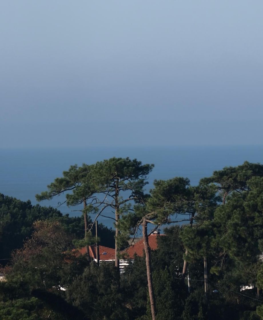 remazeilles landes